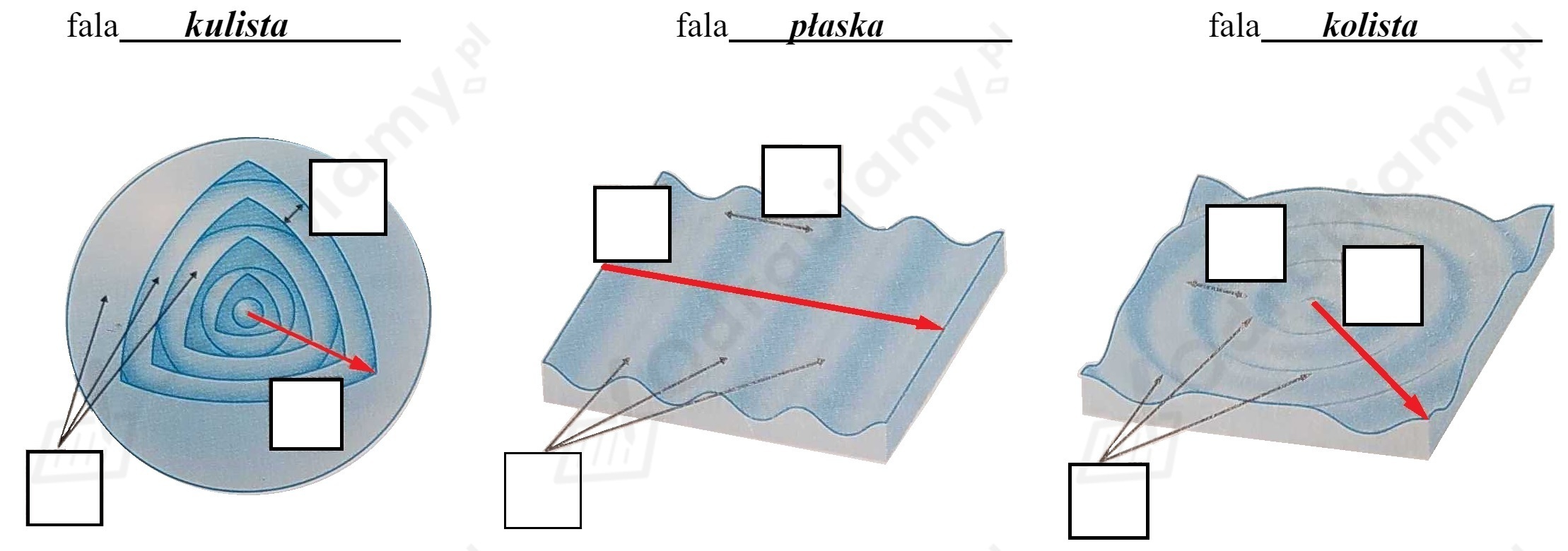 Na rysunkach schematycznie przedstawiono rozchodzenie się trzech