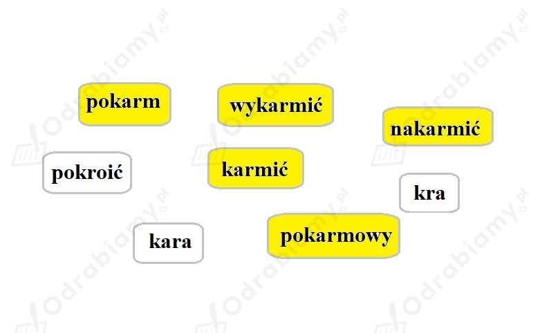 Pokoloruj Pola Z Wyrazami Nal Cymi Zadanie Nowi Tropiciele