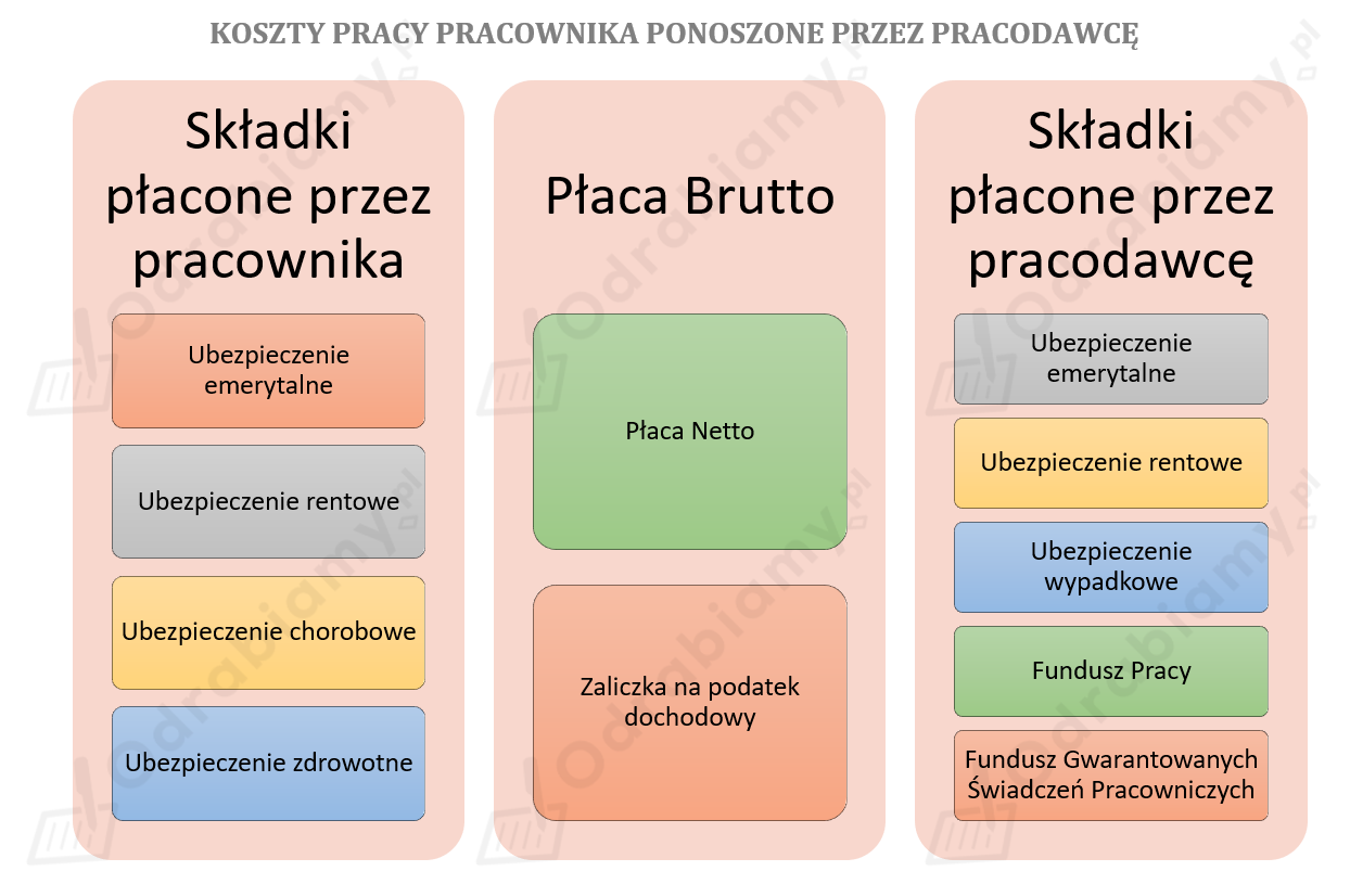 🎓 Wpisz na schemacie brakujące...- Zadanie 2: Podstawy