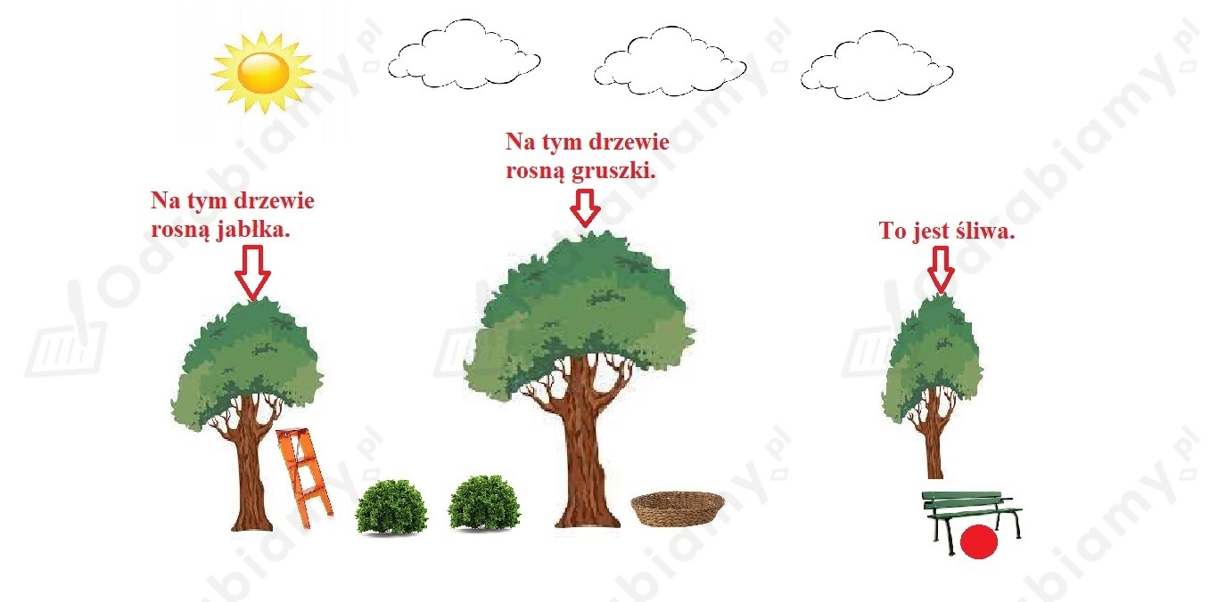 Oto Ja ćwiczenia Matematyczno Przyrodnicze Klasa 3 Cz 1 Rozwiązania 🎓 Uzupełnij rysunek zgodnie z opisem...- Zadanie 1: Oto ja 2. Ćwiczenia