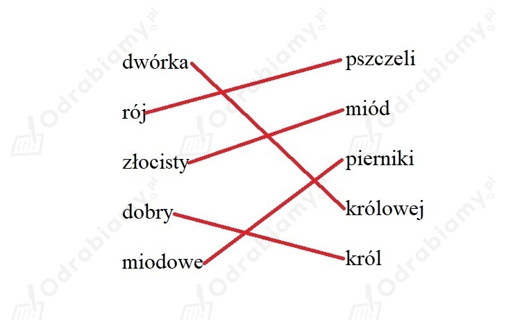 🎓 Połącz wyrazy z pierwszej kolumny...- Zadanie 2: Oto ja 2. Ćwiczenia
