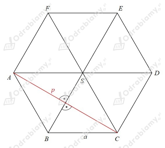 Ile Przekątnych Ma Sześciokąt Foremny 🎓 Sześciokąt foremny ABCDEF ma bok długości...- Zadanie 14: Matematyka