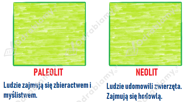 podglad pliku