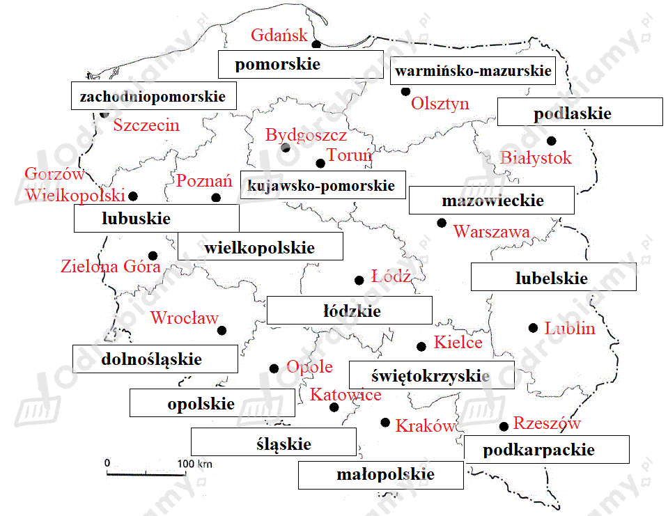 podglad pliku