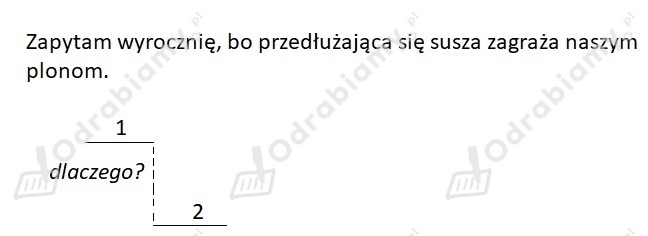 podglad pliku
