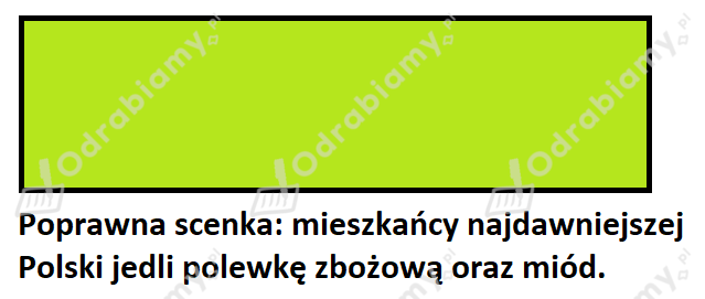podglad pliku