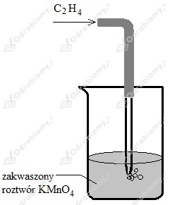 podglad pliku