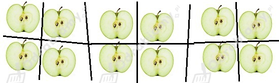 podglad pliku