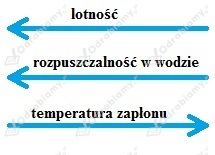 podglad pliku