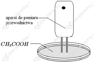 podglad pliku