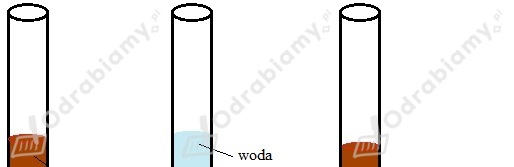 podglad pliku