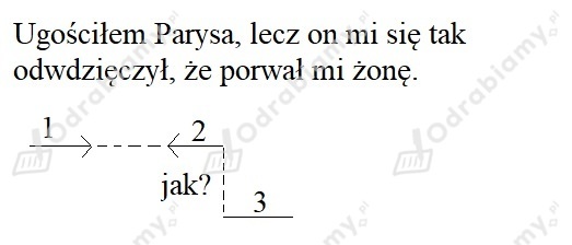 podglad pliku