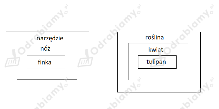 podglad pliku