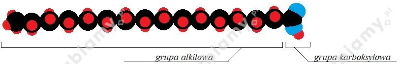 podglad pliku