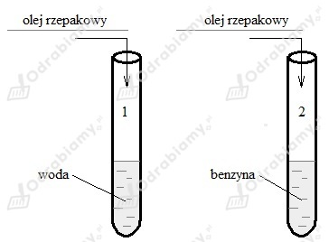 podglad pliku