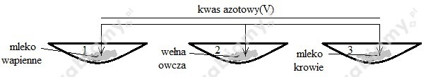 podglad pliku