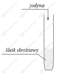 podglad pliku