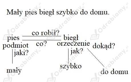 podglad pliku
