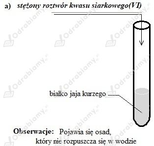 podglad pliku