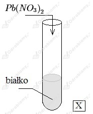 podglad pliku