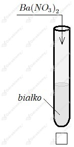 podglad pliku