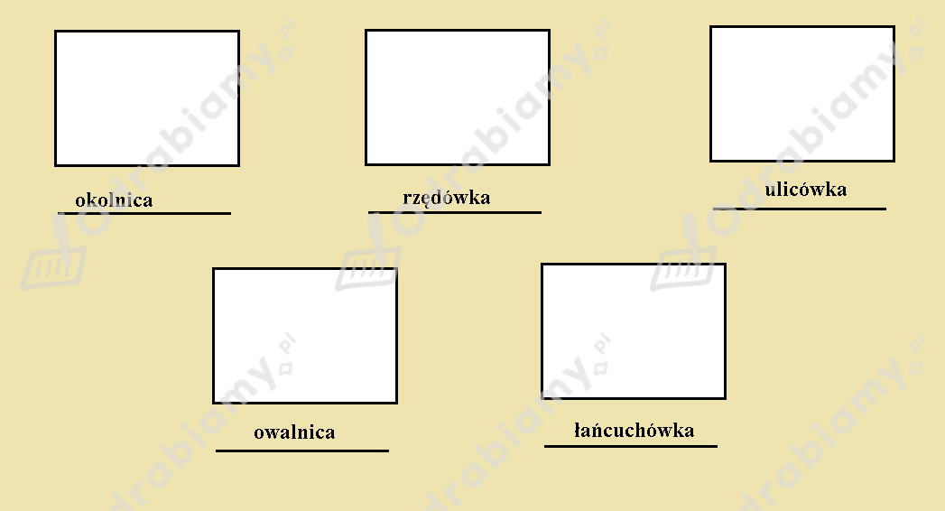 podglad pliku