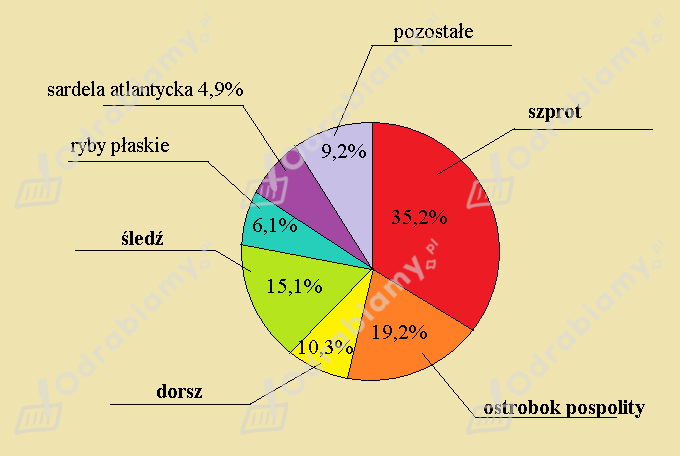 podglad pliku