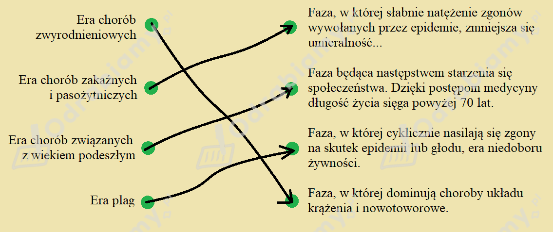 podglad pliku