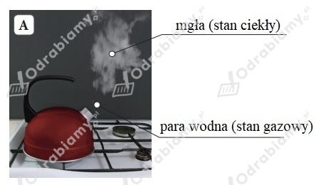 podglad pliku