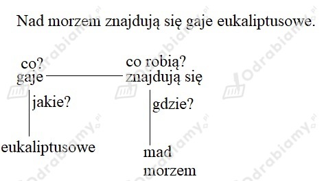 podglad pliku