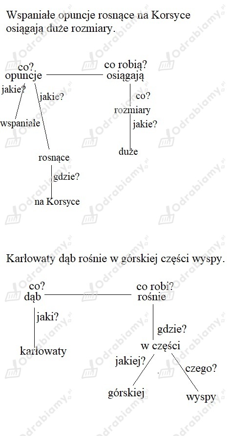 podglad pliku