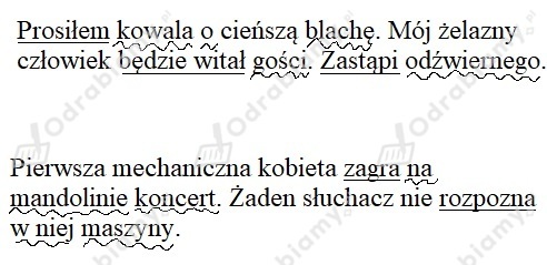 podglad pliku