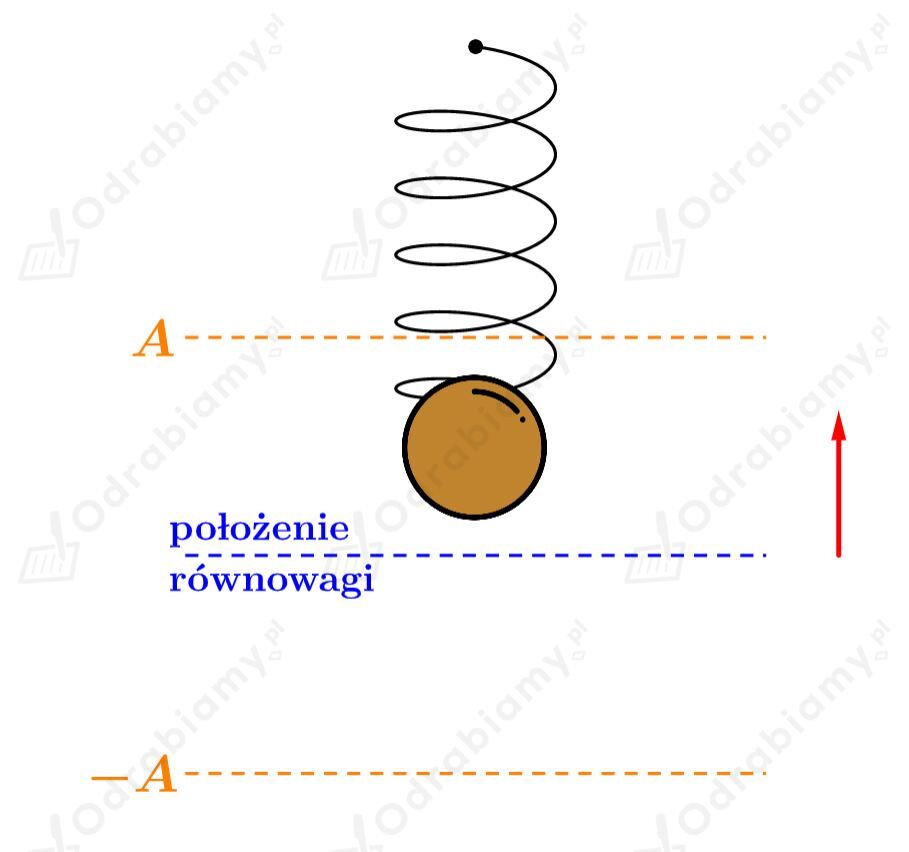 🎓 Kulka Zawieszona Na Sprężynie Porusza Się Ruchem Drgającym O ...