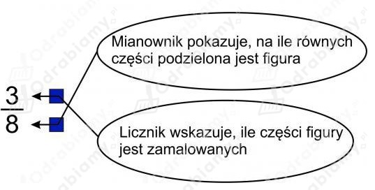 Thumb zad1bstr61
