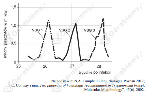 widrowiec-gambijski-trypanosoma-gambiense-to-protist-zadanie-9