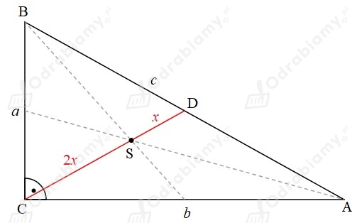 🎓 Przyprostokątne trójkąta prostokątnego mają długość...- Zadanie 7.106