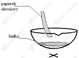 podglad pliku