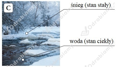 podglad pliku