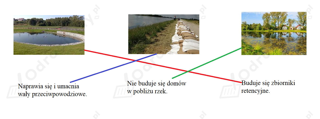 Połącz z odpowiednimi ilustracjami zdania...- Zadanie 1: Uczymy się z