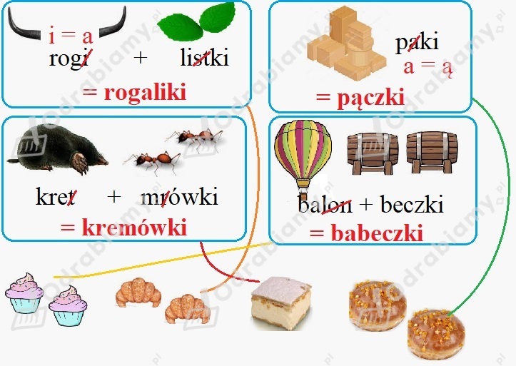 Rozwiąż rebusy i zapisz rozwiązania...- Zadanie 7: Elementarz odkrywców